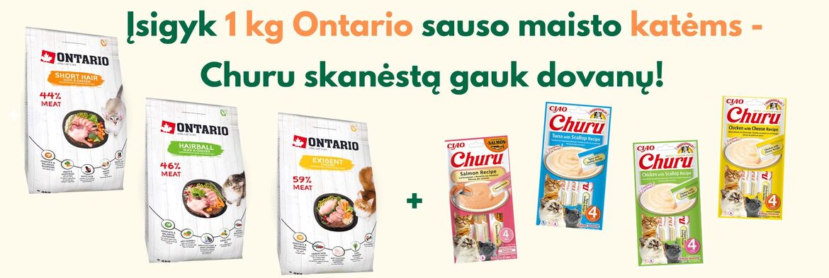 Ontario 1 kg sausas katėms