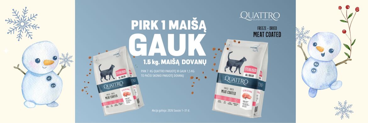 Quattro dovanos katėms