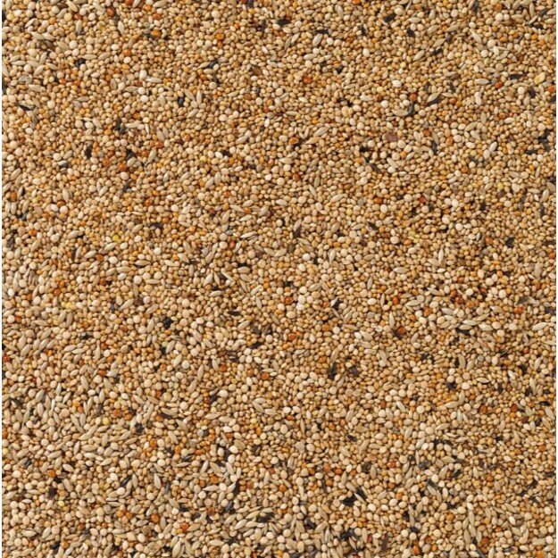 Deli Nature Premium lesalas tropiniams paukščiukams, 1 kg 1