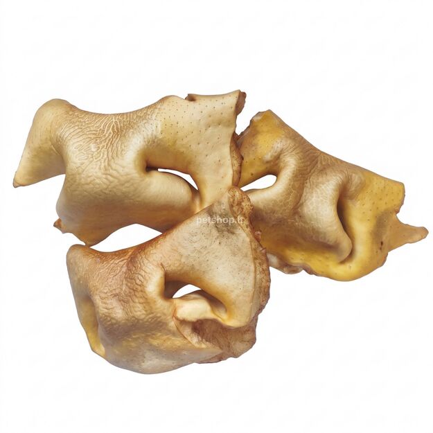 Jaučio snukis, džiovintas, rudas, 1 vnt. 1
