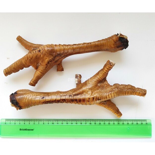 Ruda kalakuto koja, 25 cm, didelė, 1 vnt.