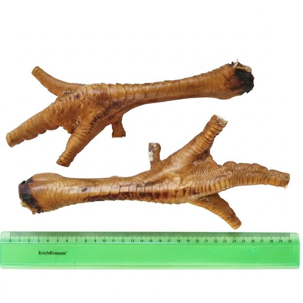 Ruda kalakuto koja, 25 cm, didelė, 1 vnt.