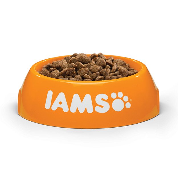 IAMS Adult Cat (vištiena) 10kg