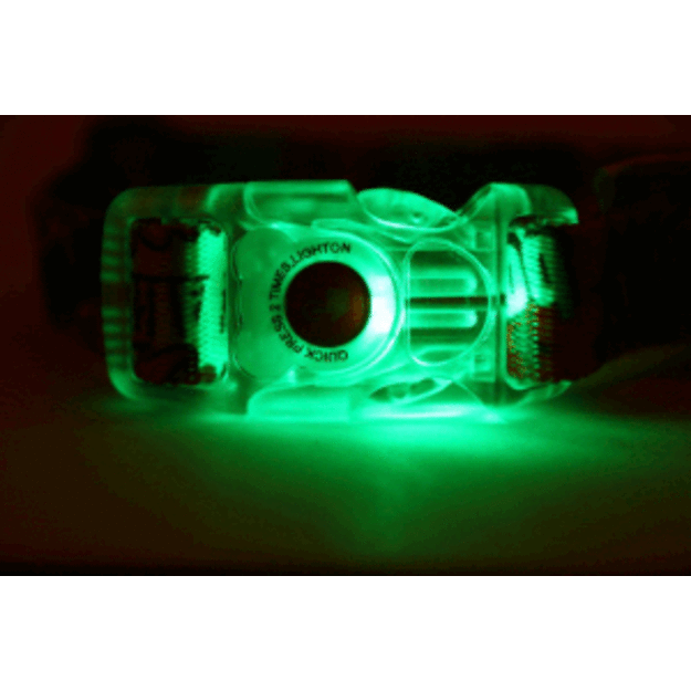 Antkaklis šunims su šviečiančia sagtimi KAVA, 20 mm, 20-35 cm, LED, Matteo  1