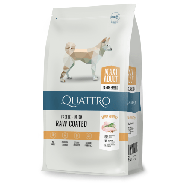 QUATTRO Maxi Poultry su paukštiena sausas didelių veislių šunų pašaras, 12kg