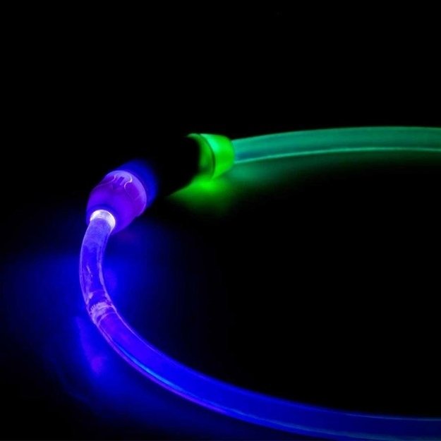 Įvairiaspalvis šviečiantis antkaklis šunims, SEECURITY,  USB TPU ``M``, 45 cm 1