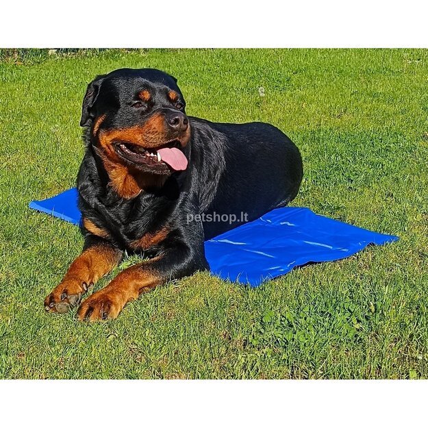 Vėsinantis kilimėlis šunims, trijų dydžių