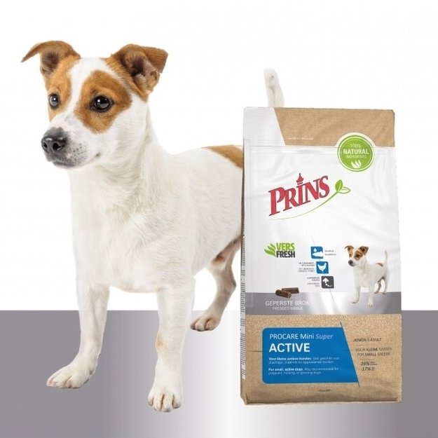 Prins ProCare Mini Super Active sausas maistas aktyviems suaugusiems mažų veislių šunims 3 kg