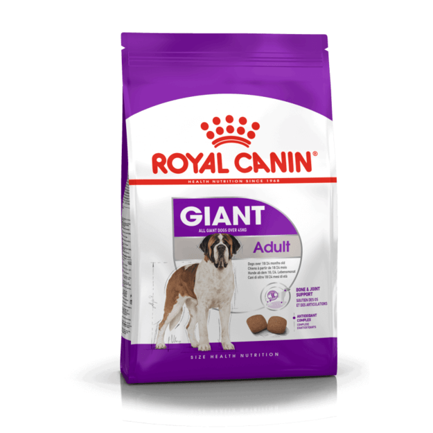 ROYAL CANIN GIANT ADULT 15 KG - sausas maistas suagusiems itin didelių veislių šunims