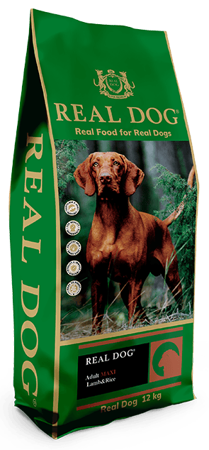 Real Dog SP Adult Maxi Lamb&Rice 12 kg