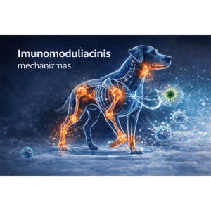 Flexadin Advanced Muscle support šunims, N30 - papildoma nuotrauka 3