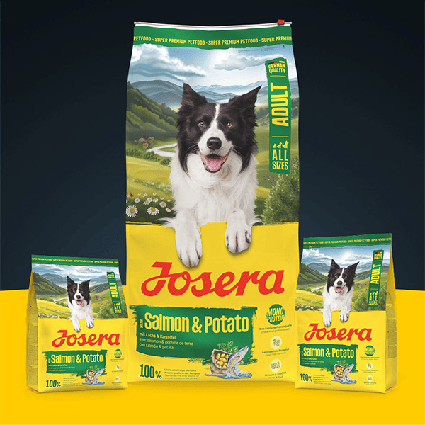 Josera Salmon + Potato A/S begrūdis sausas pašaras šunims su lašiša ir bulvėmis, 900 g - papildoma nuotrauka 2