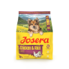 Josera Mini Senior Chicken and Rice sausas pašaras mažų veislių šunims su paukštiena, 900 g