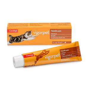 Candioli Vigorpet vitamininė-energetinė pasta katėmsn 50g