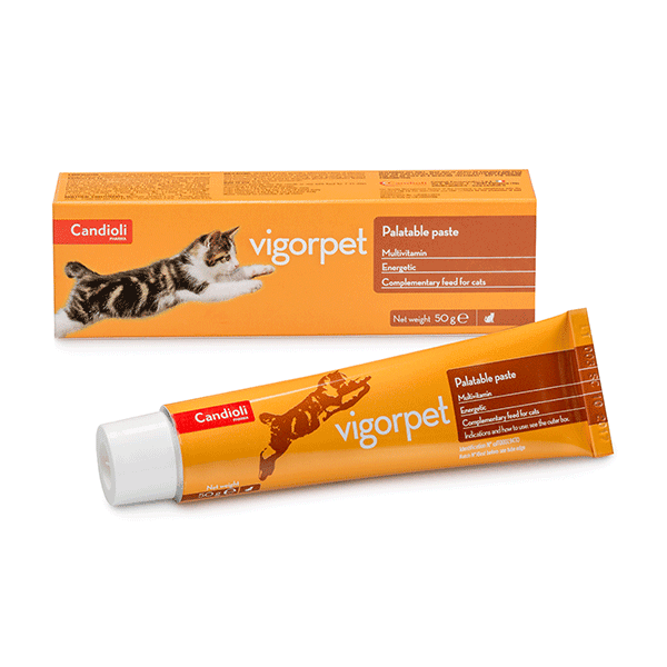 Candioli Vigorpet vitamininė-energetinė pasta katėmsn 50g