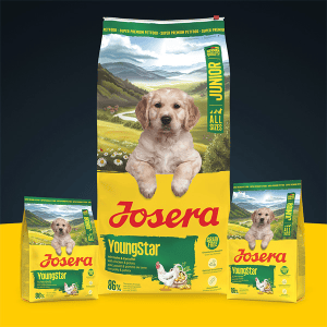 Josera Young Star begrūdis sausas pašaras jauniems šunims su paukštiena, 900 g - papildoma nuotrauka 2