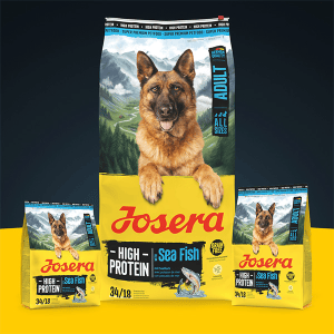 Josera High Protein Adult Sea Fish sausas pašaras šunims su žuvim, 3 kg - papildoma nuotrauka 2