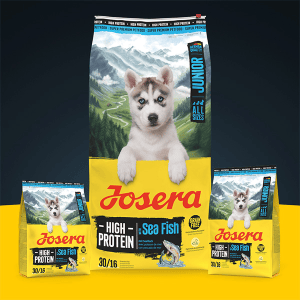 Josera High Protein Junior Sea Fish sausas pašaras jauniems šunims su žuvim, 3 kg - papildoma nuotrauka 2