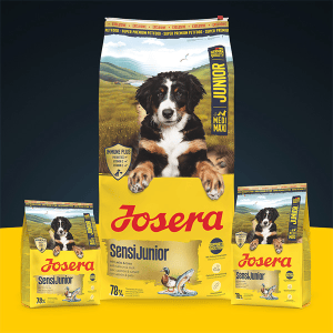 Josera SensiJunior sausas pašaras jautriems jauniems šunims su antiena ir lašiša, 12,5 kg - papildoma nuotrauka 2