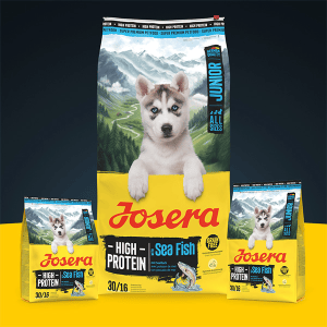 Josera High Protein Junior Sea Fish sausas pašaras jauniems šunims su žuvim, 900 g - papildoma nuotrauka 2