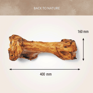Antos didelis kaulas šunims 2,56kg - papildoma nuotrauka 2