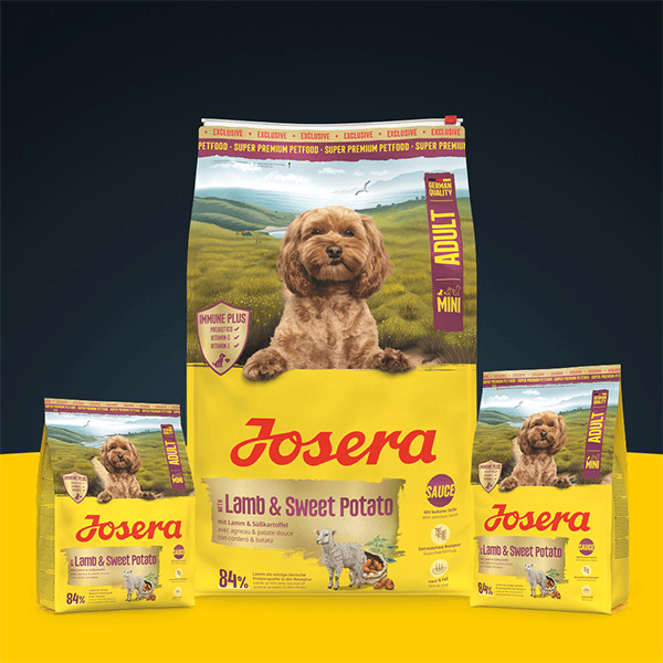 Josera Mini Lamb and Sweet Potato sausas pašaras mažų veislių šunims su ėriena ir batatais, 10 kg - papildoma nuotrauka 2