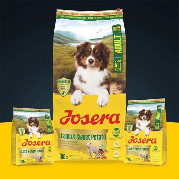 Josera Lamb + Sweet Potato begrūdis sausas pašaras šunims su ėriena ir batatais, 3 kg - papildoma nuotrauka 2