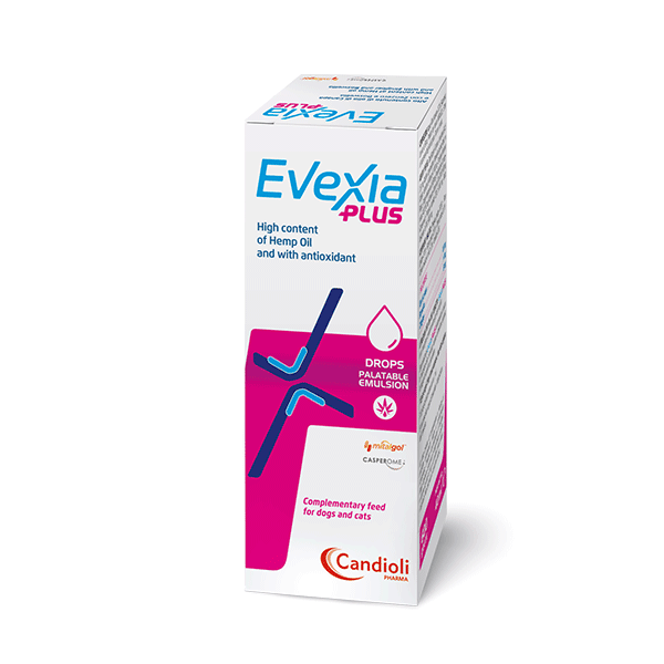 Candioli Evexia plus skausmo malšinimo lašai šunims ir katėms, 40 ml