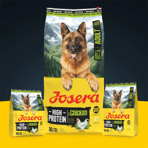 Josera High Protein Chicken sausas pašaras šunims su paukštiena, 900 g - papildoma nuotrauka 2