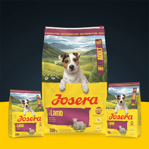Josera Mini Lamb begrūdis sausas pašaras mažų veislių šunims su ėriena, 900 g - papildoma nuotrauka 2