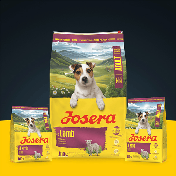 Josera Mini Lamb begrūdis sausas pašaras mažų veislių šunims su ėriena, 900 g - papildoma nuotrauka 2