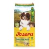 Josera Lamb + Sweet Potato begrūdis sausas pašaras šunims su ėriena ir batatais, 12,5 kg