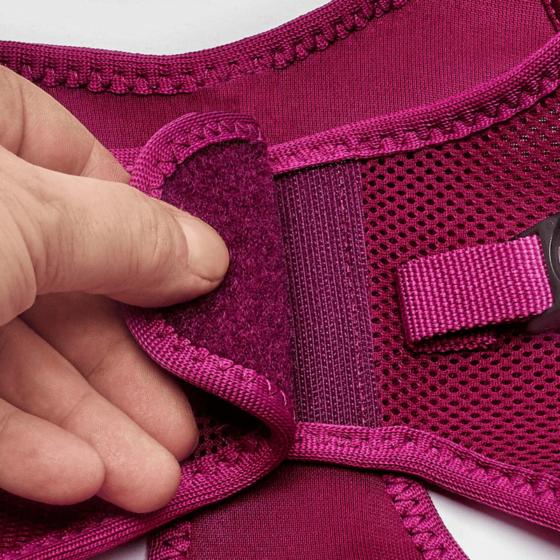 Happet minkštos petnešos, violetinės spalvos, L - papildoma nuotrauka 5
