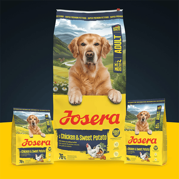 Josera Chicken and Sweet Potato M/M sausas pašaras šunims su paukštiena ir batatais, 12,5 kg - papildoma nuotrauka 2