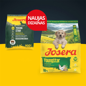 Josera Young Star begrūdis sausas pašaras jauniems šunims su paukštiena, 12,5kg - papildoma nuotrauka 3
