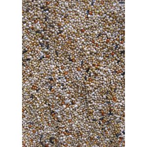 Deli Nature Premium lesalas amadinams, 1 kg - papildoma nuotrauka 3