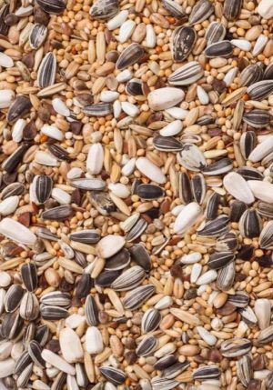 Deli Nature Premium lesalas didelėms papūgoms, 20 kg, 30-Large Parakeets Basic - papildoma nuotrauka 3