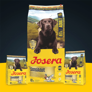 Josera SensiAdult sausas pašaras jautriems šunims su antiena ir lašiša, 900 g - papildoma nuotrauka 2