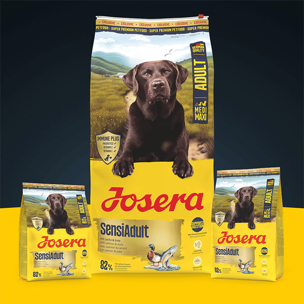 Josera SensiAdult sausas pašaras jautriems šunims su antiena ir lašiša, 12,5 kg - papildoma nuotrauka 2