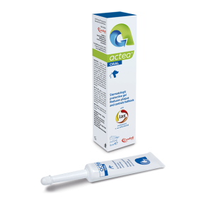 Candioli Actea Oral stomatologinis gelis šunims ir katėms, 15ml