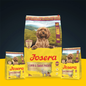 Josera Mini Lamb and Sweet Potato sausas pašaras mažų veislių šunims su ėriena ir batatais, 3 kg - papildoma nuotrauka 2