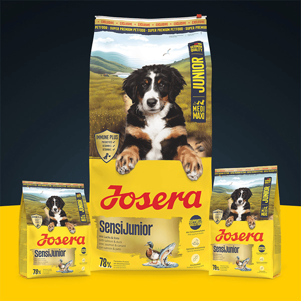 Josera SensiJunior sausas pašaras jautriems jauniems šunims su antiena ir lašiša, 900 g - papildoma nuotrauka 2