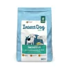 Green Petfood InsectDog Sensitive sausas pašaras šunims su vabzdžiais ir ryžiais, 10 kg