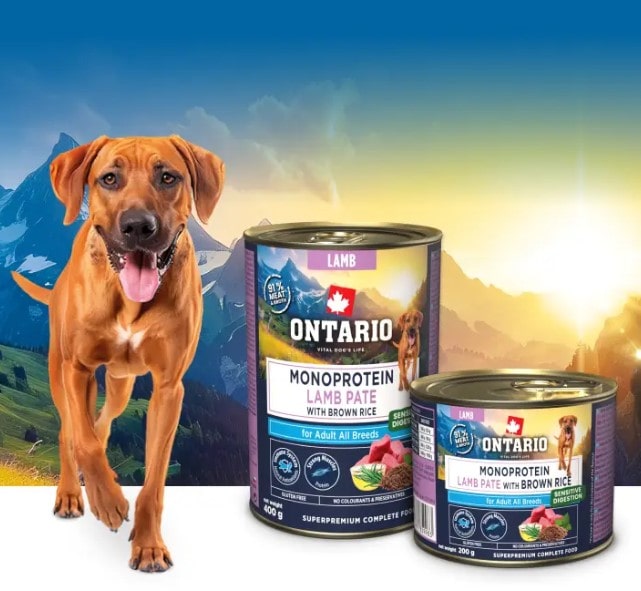 Ontario Monoproteino konservai šunims su ėriena ir rudaisiais ryžiais, 200 g - papildoma nuotrauka 4