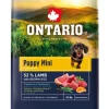 Ontario Puppy Mini Lamb and Brown Rice, 2,25 kg, pašaras jauniems mažų veislių šunims su ėriena ir rudaisiais ryžiais