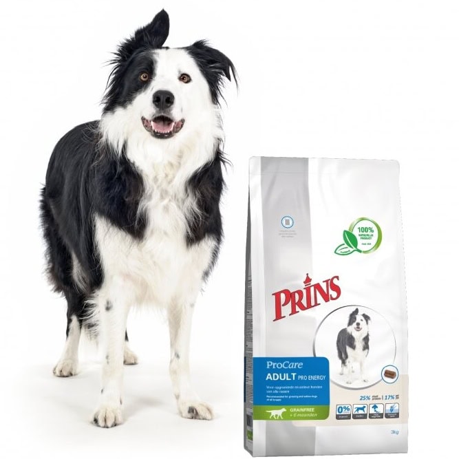 Prins ProCare Grainfree Adult Pro Energy begrūdis sausas maistas aktyviems suaugusiems šunims 3 kg - papildoma nuotrauka 4