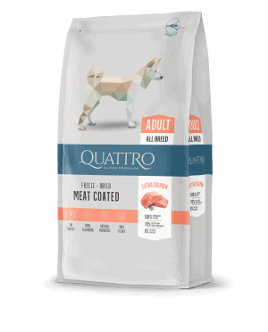 QUATTRO Extra Salmon su lašiša sausas šunų pašaras, 12kg - papildoma nuotrauka 2