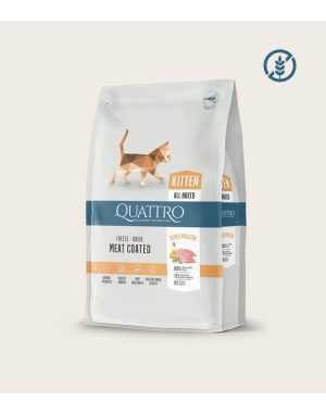 QUATTRO Kitten sausas kačiukų pašaras su daug paukštienos 1,5 kg - papildoma nuotrauka 2