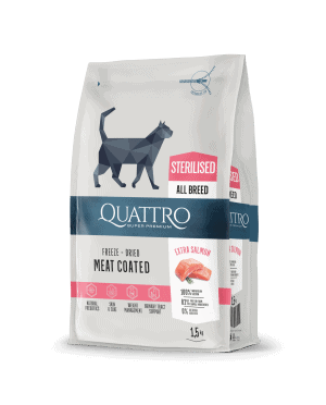 QUATTRO Sterilised su paukštiena sausas sterilizuotų kačių pašaras, 1,5kg - papildoma nuotrauka 2