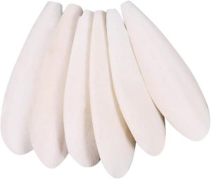 Sepija mineralas / skanėstas paukščiams, 15 cm, 1 vnt. - papildoma nuotrauka 2
